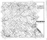 Palmyra Township, Knox County 1880 Microfilm